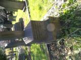 image of grave number 683081